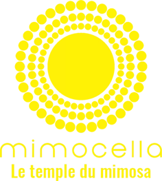 SAS Mimocella - Mandelieu-la-Napoule
